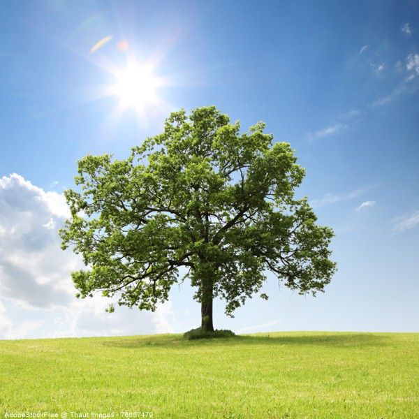 recycelnpreis brakel umweltschutz bild 1
